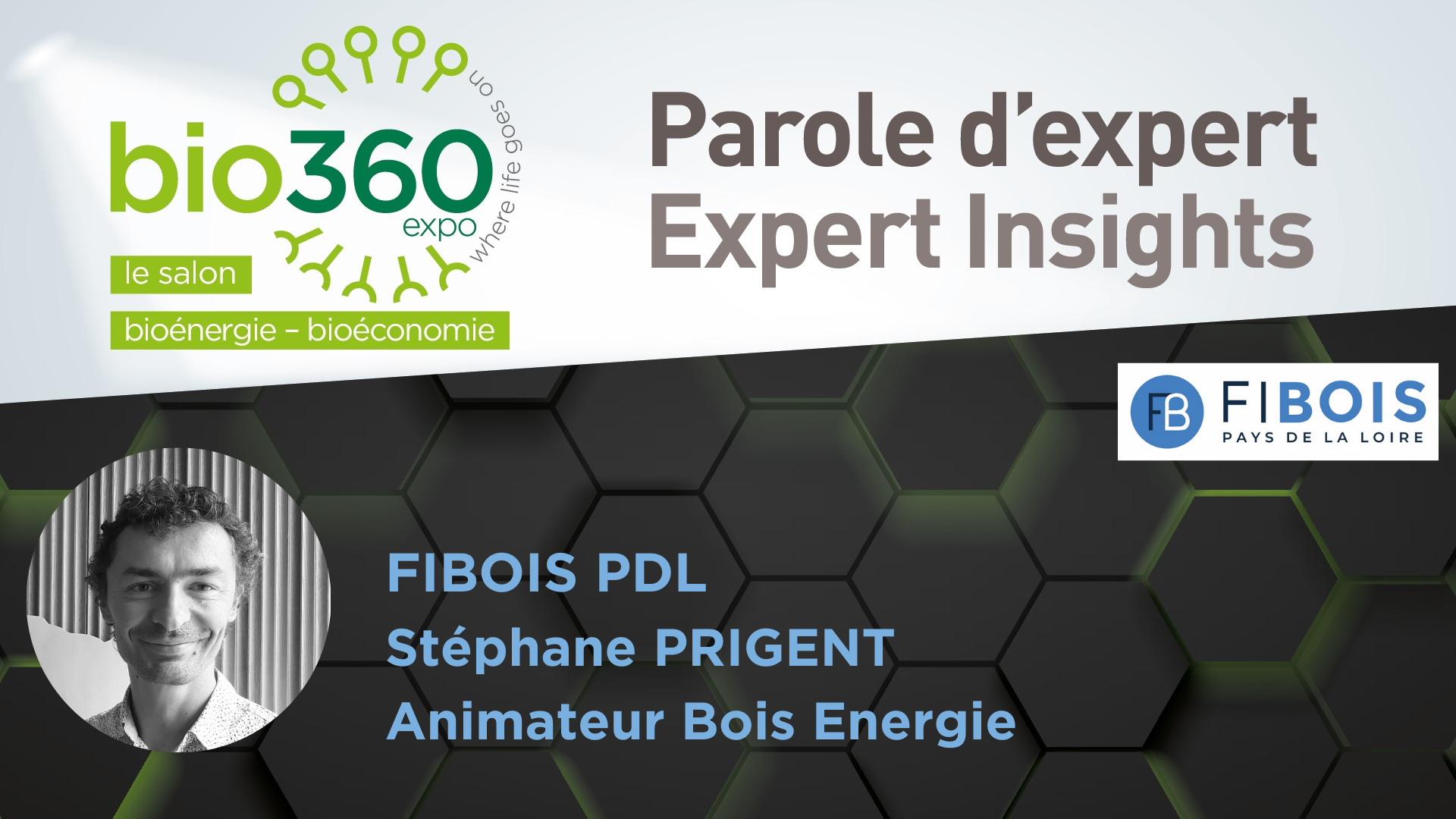 regard expert Stephane Prigent Fibois